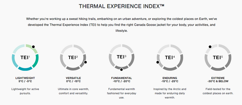 Canada Goose Crofton Hoody Men's