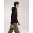 Arcteryx Men's Emblem Fleece Hoody