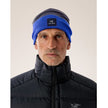 Arc'teryx Colour Block Toque