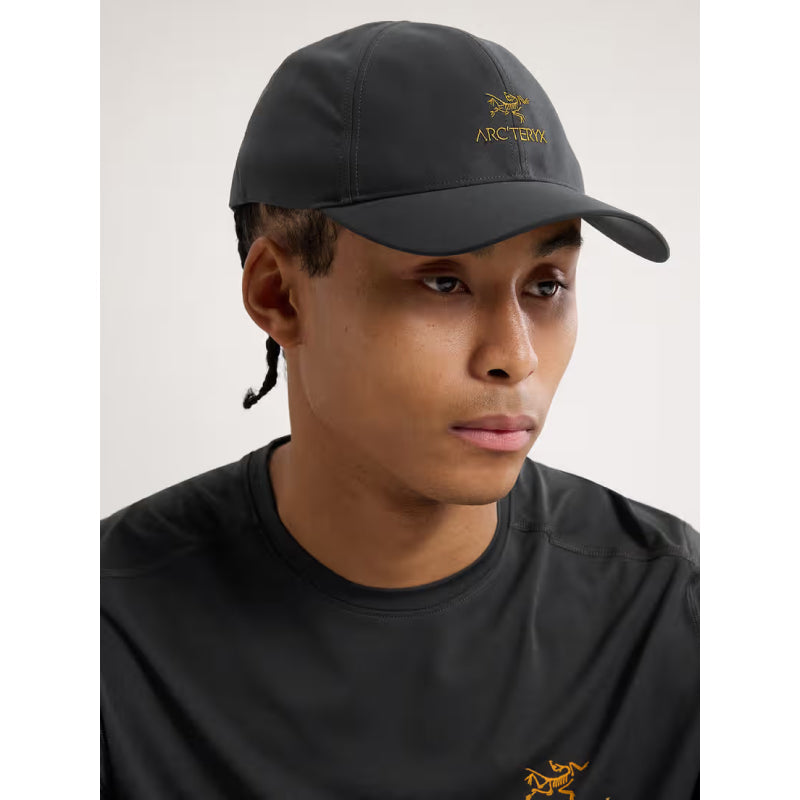 Arc'teryx Bird Word Cap