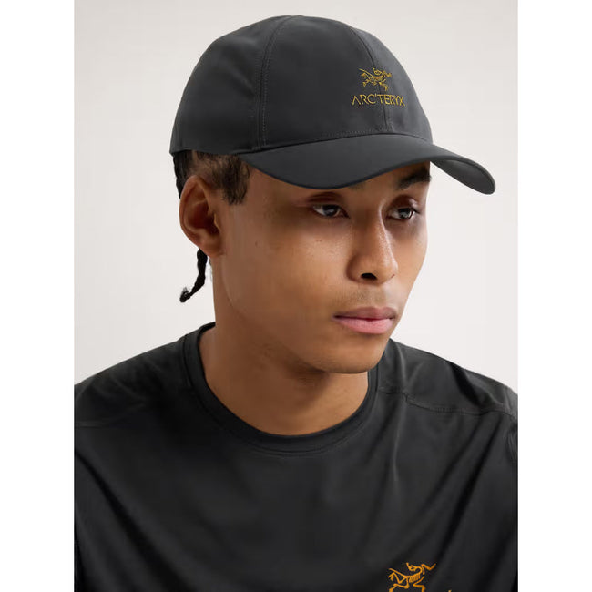 Arc'teryx Bird Word Cap