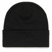 Arc'Teryx Word Toque