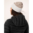 Arc'teryx Colour Block Toque
