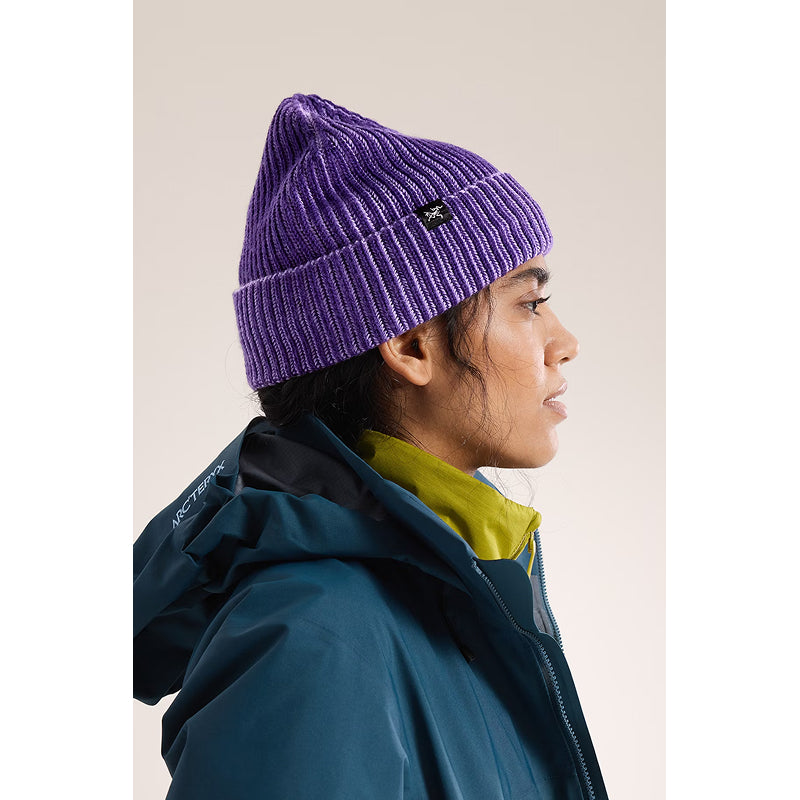 Arc'teryx Ribbed Toque
