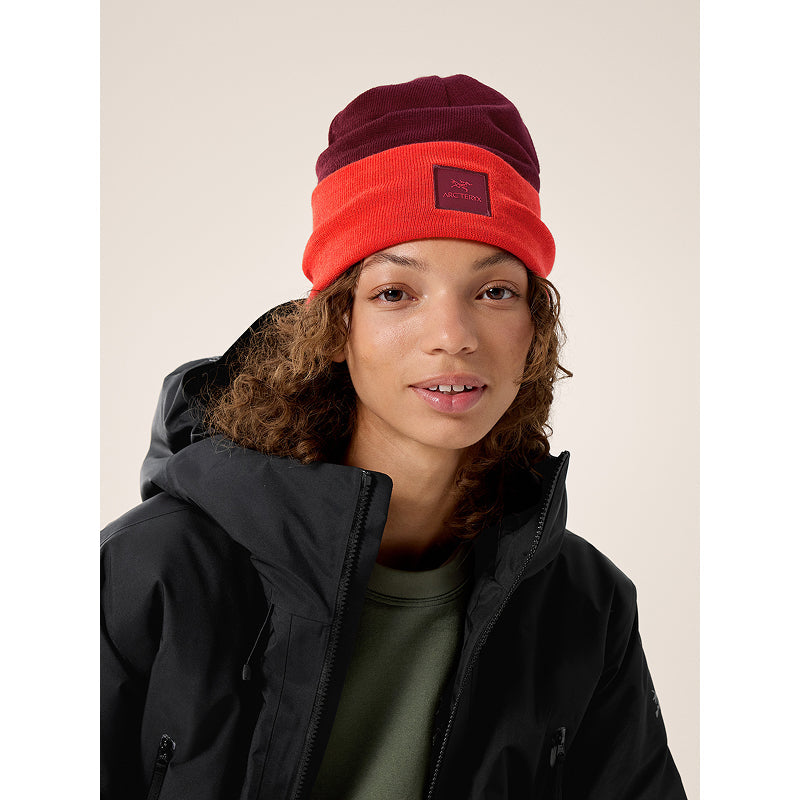 Arc'teryx Colour Block Toque