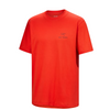 Arc'teryx Kragg SL Cotton Bird Word Short Sleeve - Men's